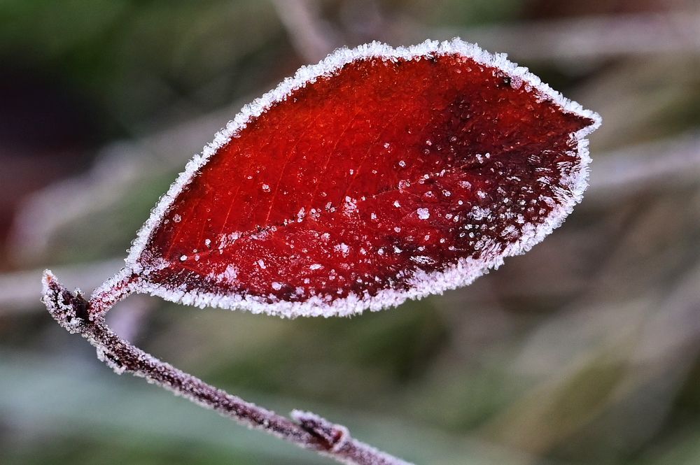 Photograph by Гусева Юлия