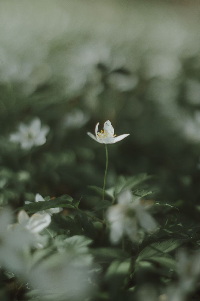 Photograph by Виктория Гончарук