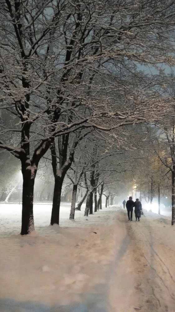Зимний вечер /Winter evening