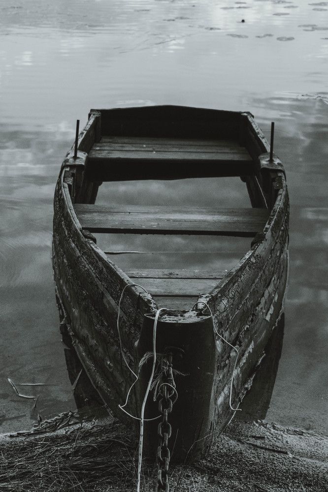 Photograph by Виктория Гончарук