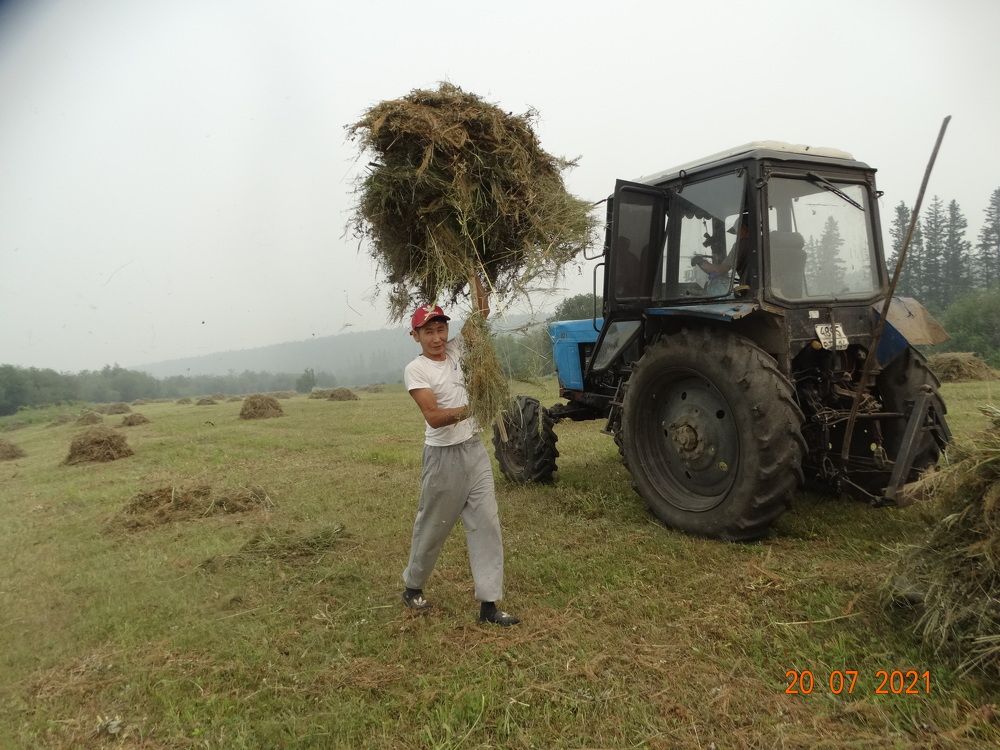 Photograph by Марина Ноговицына