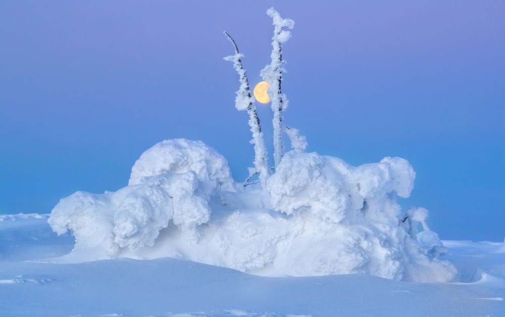 Photograph by Олег Семенкевич