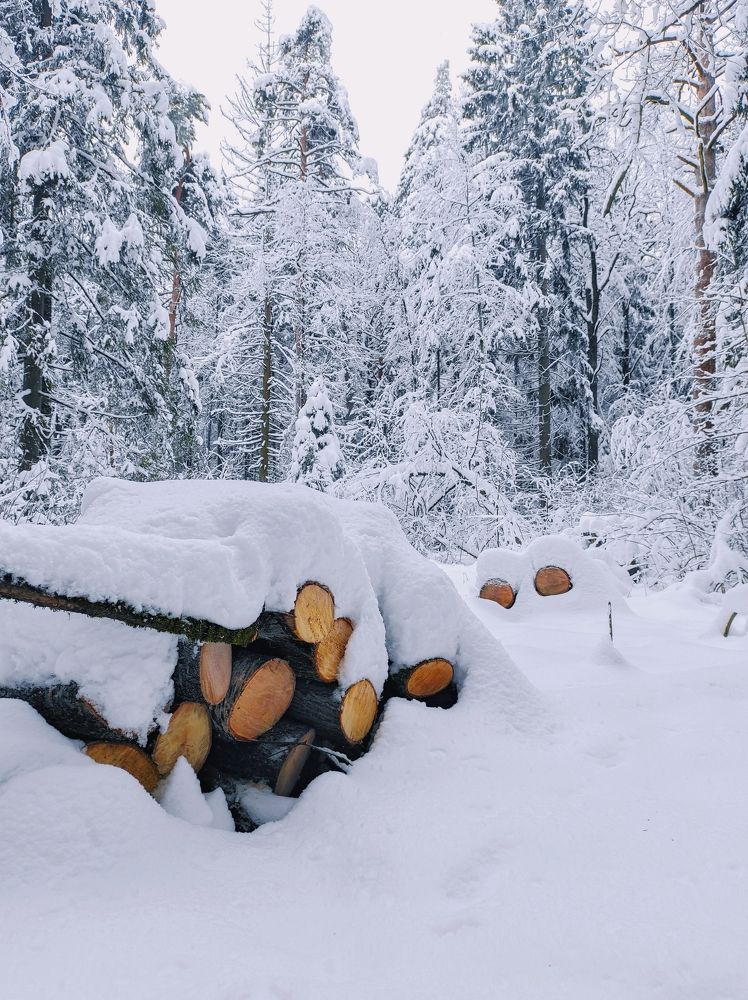 Photograph by Вячеслав Щёголев
