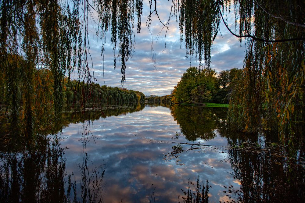 Фотография автора Егор Носов