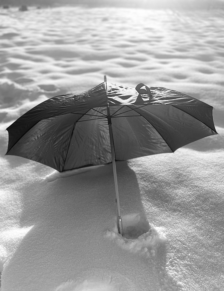 Photograph by Григорий Лыжин