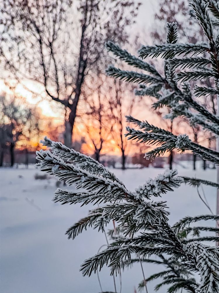 Фотография автора Ольга Савочкина