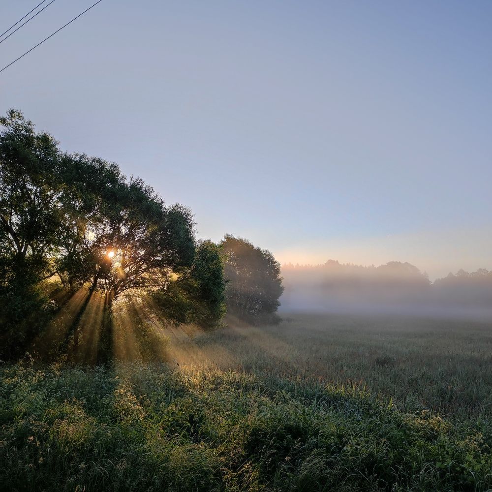 Photograph by Олеся