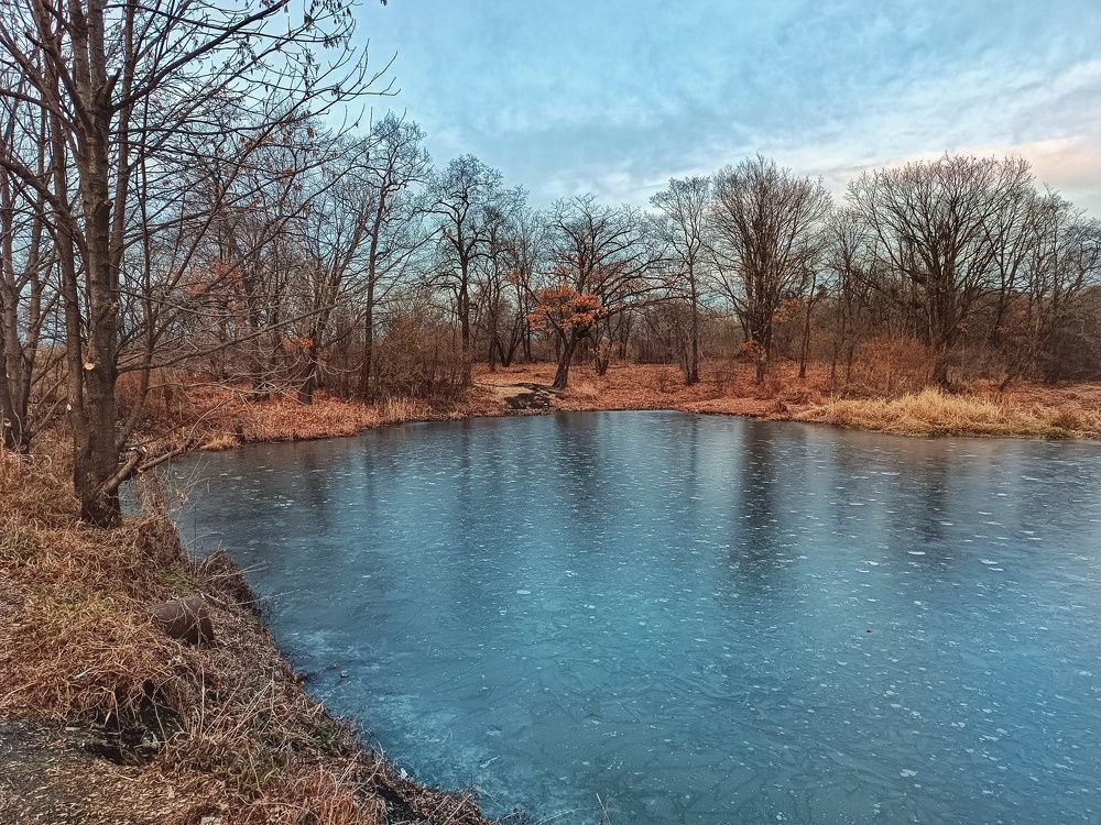 Photograph by Екатерина Цвиркунова