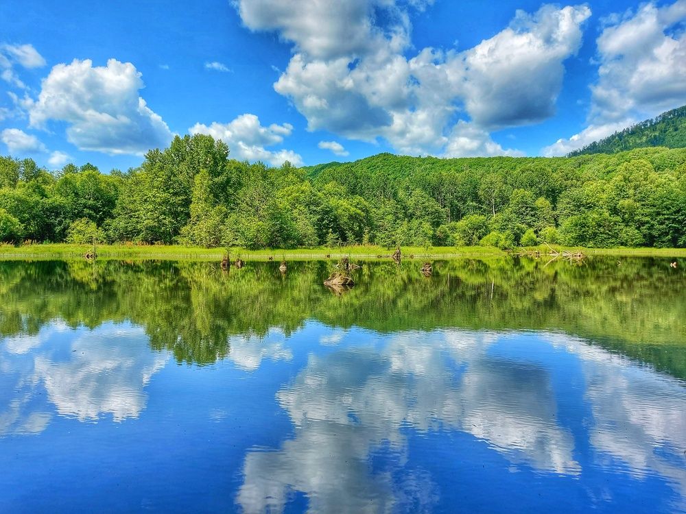 Photograph by Екатерина Цвиркунова