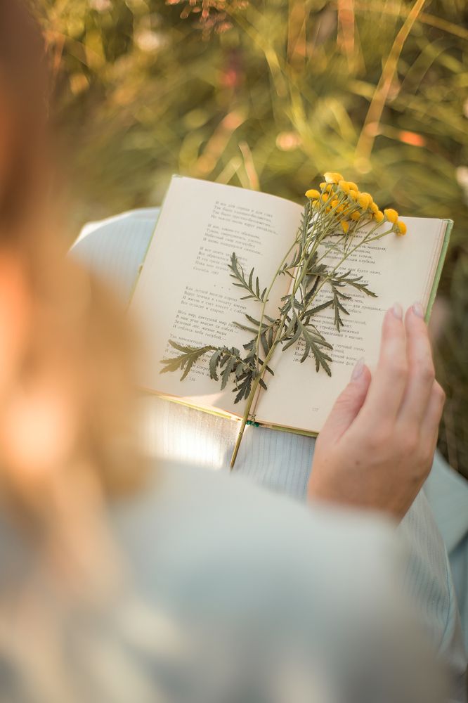 Photograph by Мила Смирнова