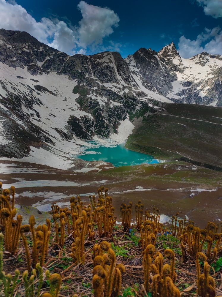 Photograph by Mehraj Qayoom