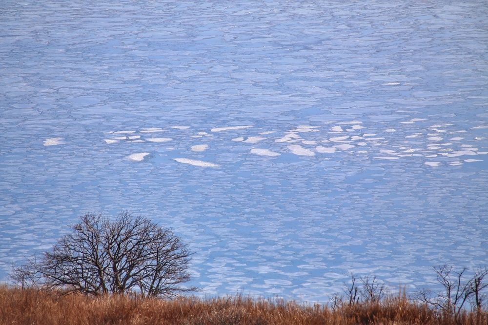 Photograph by Екатерина Цвиркунова