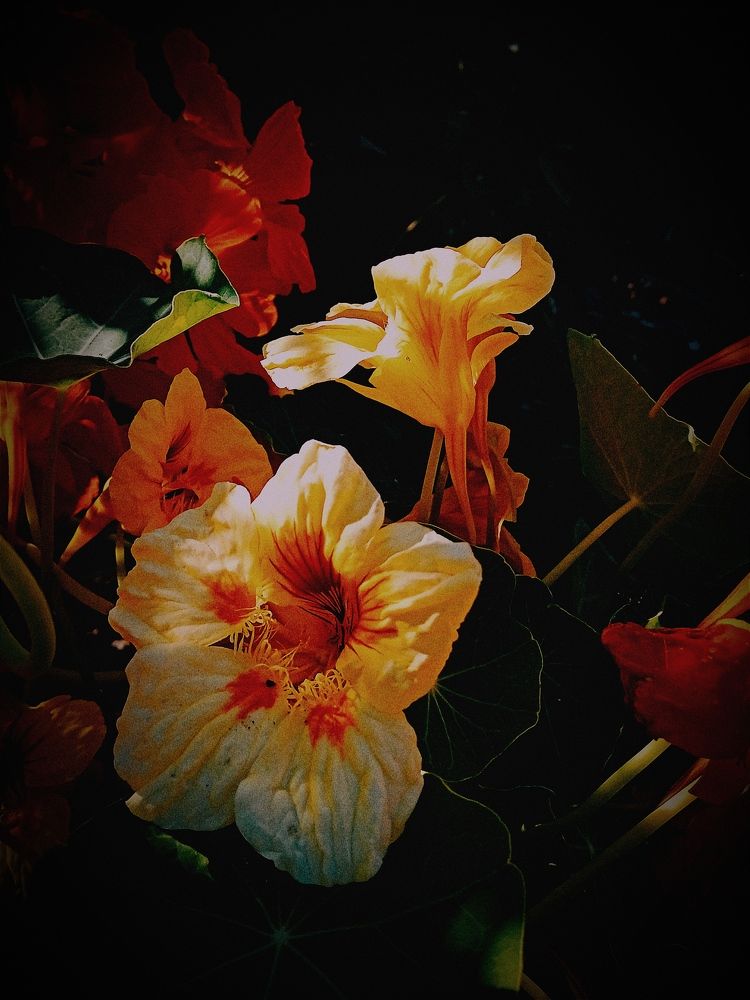 Photograph by Нина Мехнина