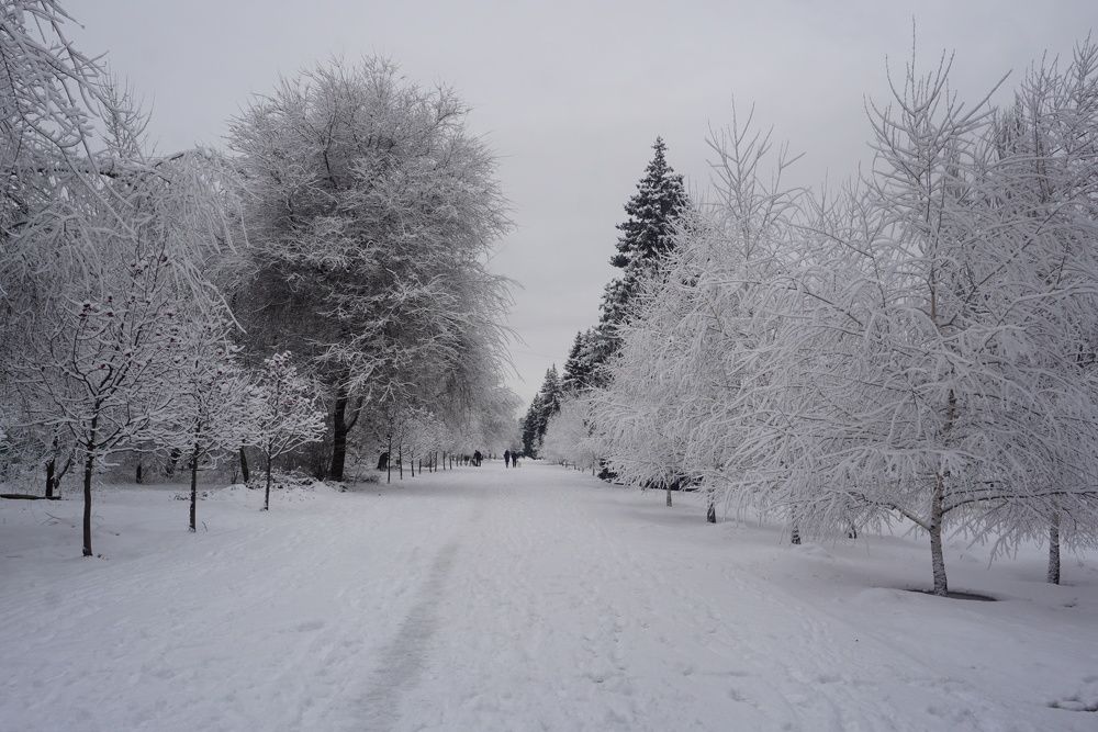 Photograph by Елена Гергель