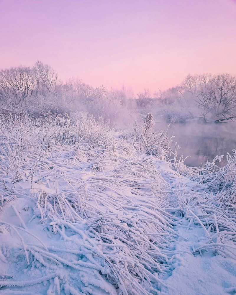 Под снежным покрывалом / Under the snow coverlet