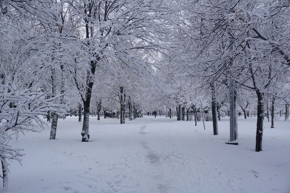 Photograph by Елена Гергель