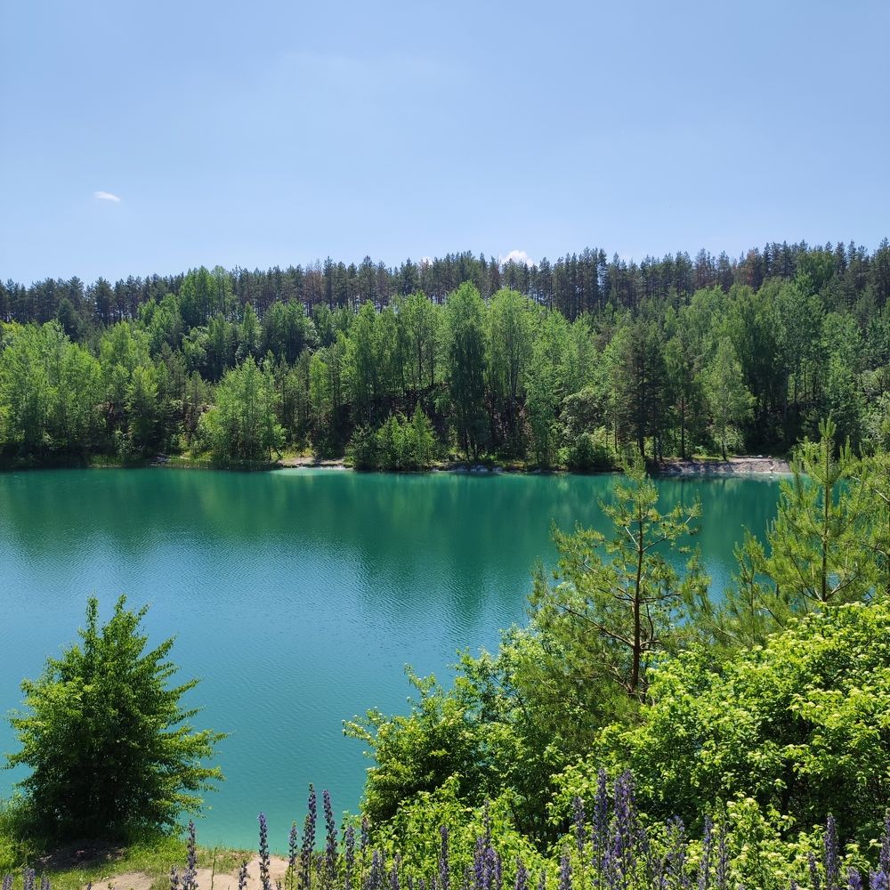 Photograph by Олеся