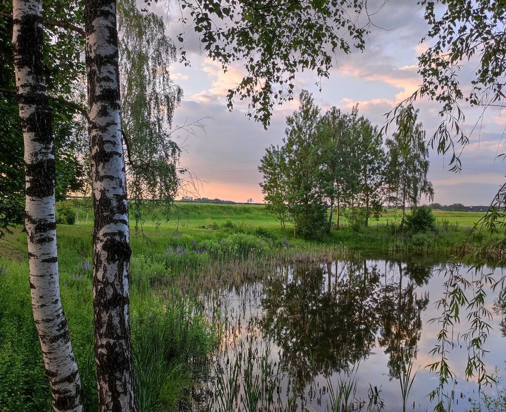 Photograph by Олеся