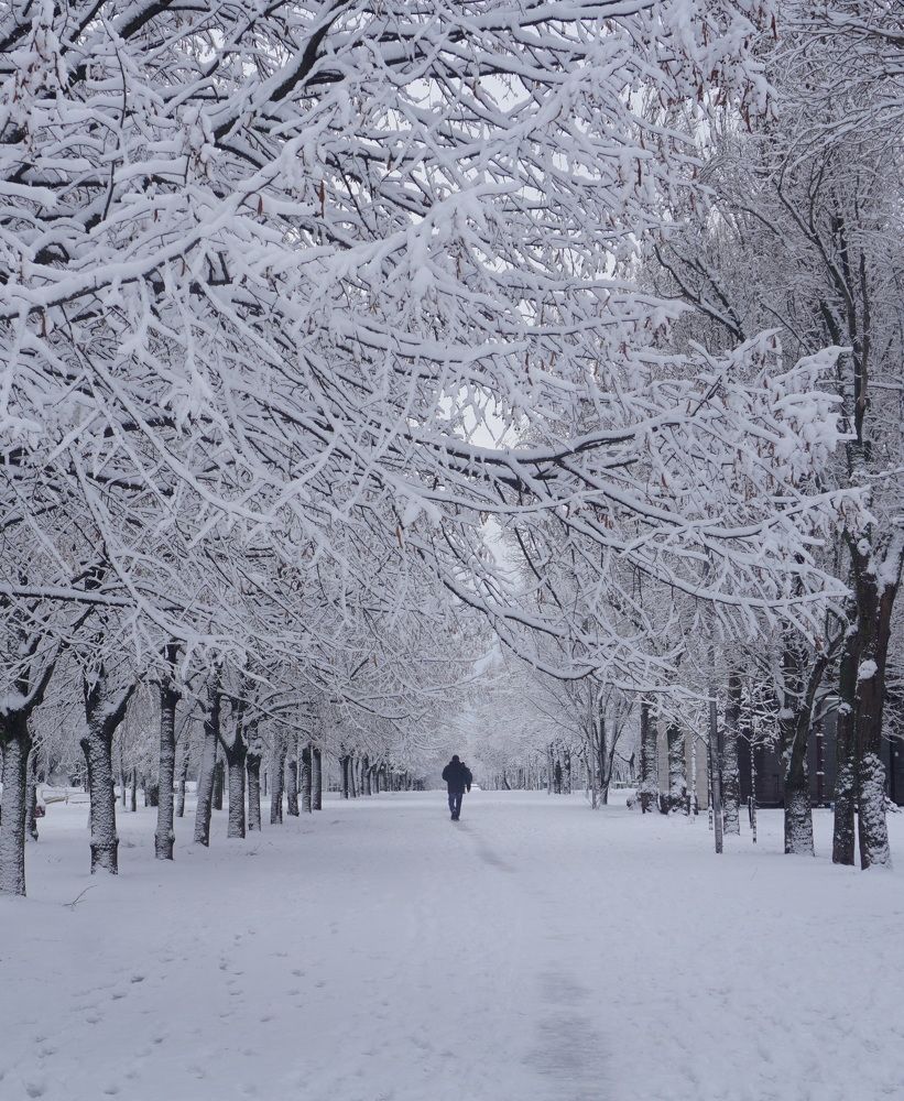 Photograph by Елена Гергель