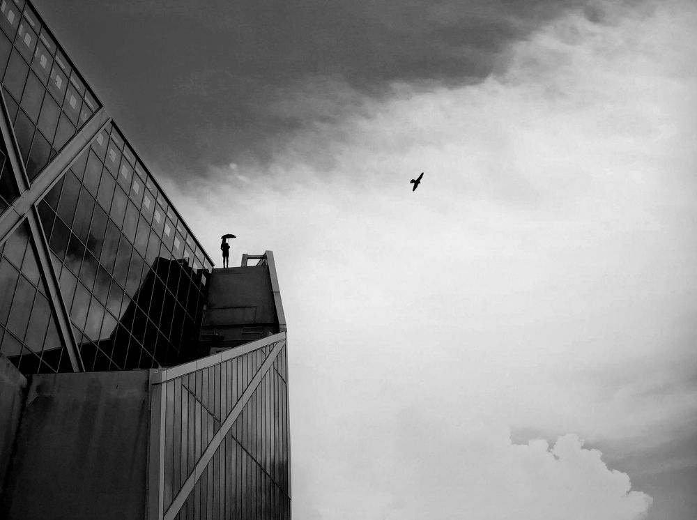 Photograph by Mark Lam