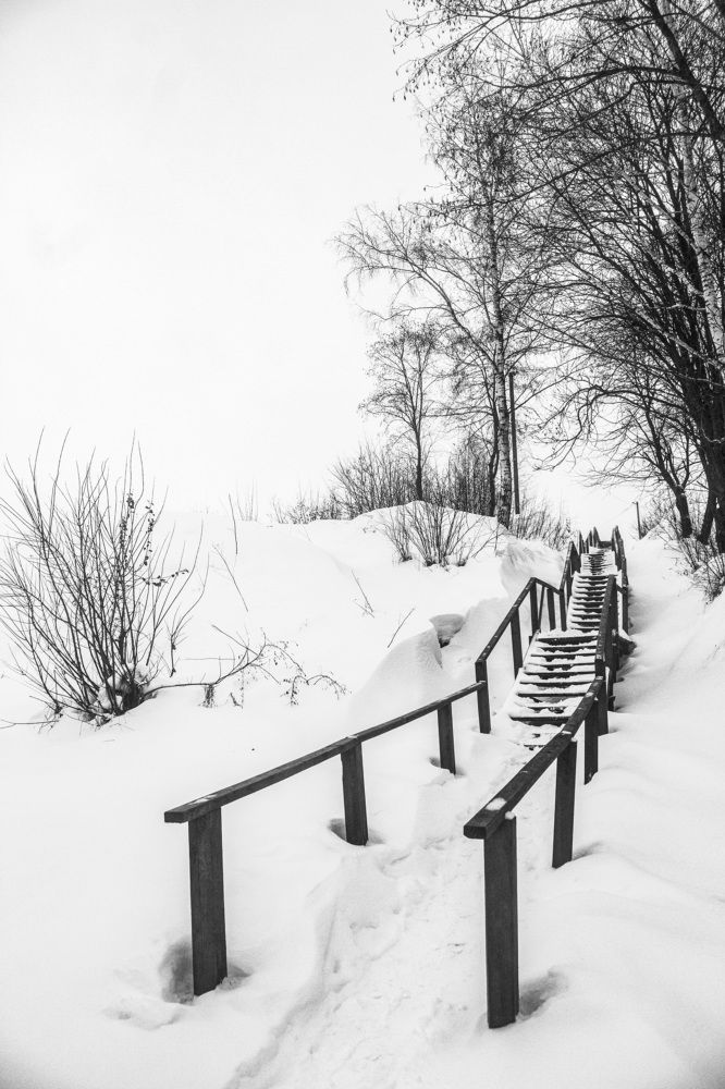 Photograph by Алексей Борисов