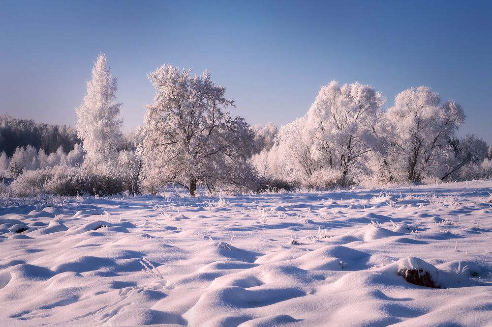 Земля невестою оделась...