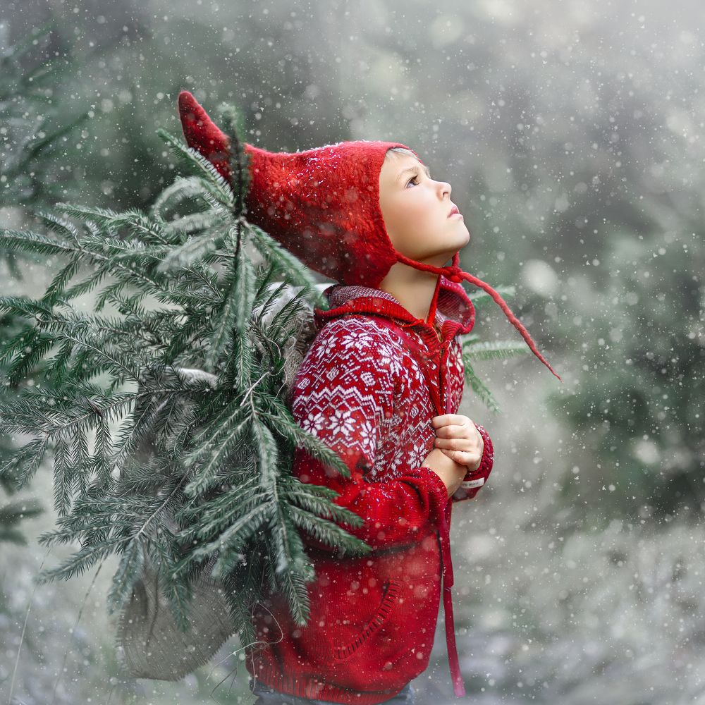 Photograph by Aleksandra Uzdrzychowska