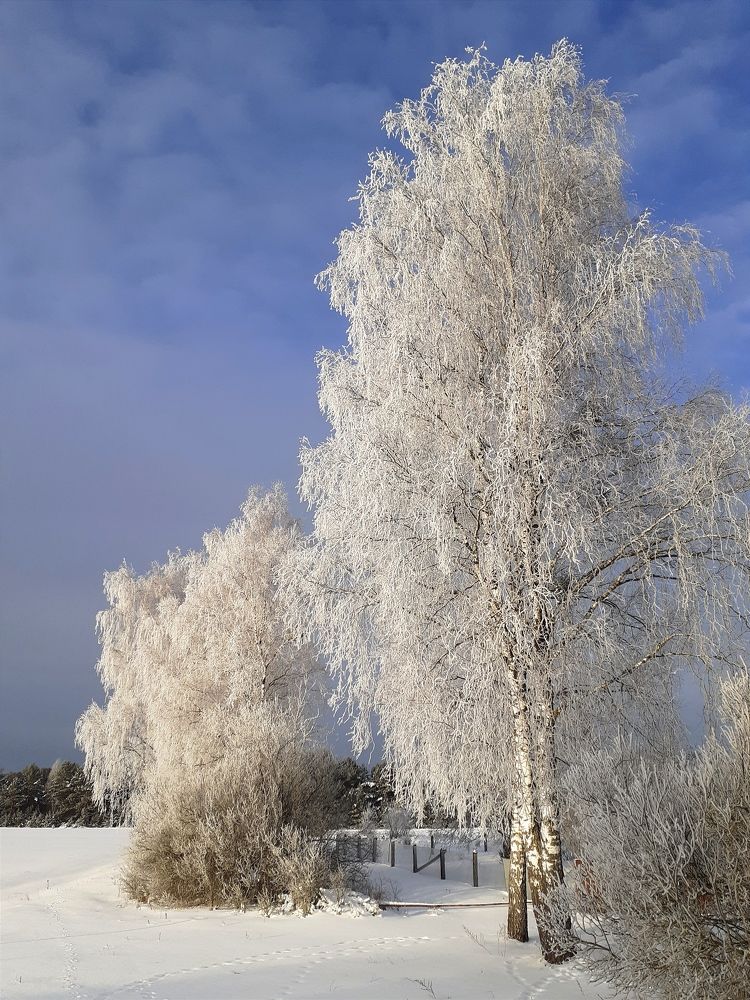 Photograph by Олеся