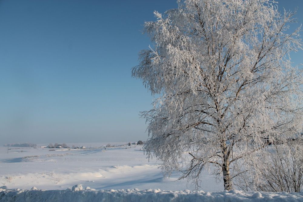 Photograph by Анна Горбунова