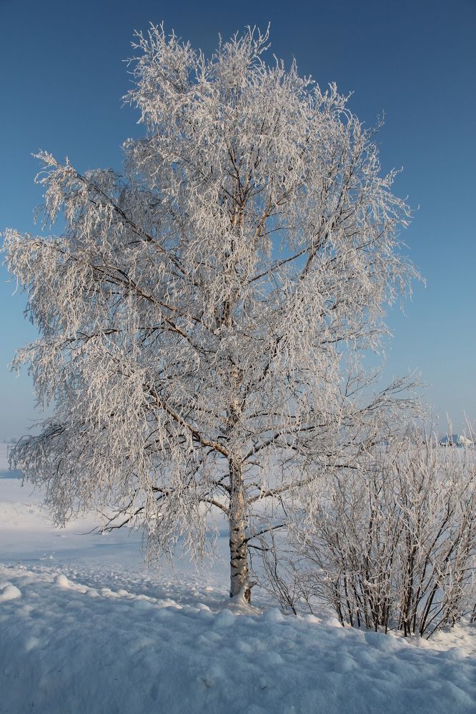 Photograph by Анна Горбунова