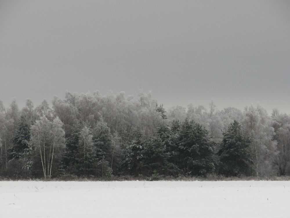 Photograph by Елена