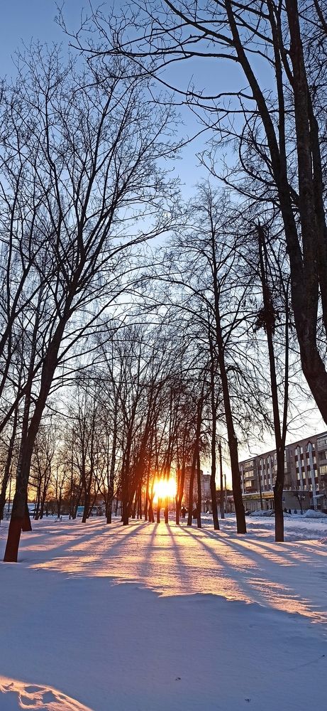 Фотография автора Алёна Подгорная