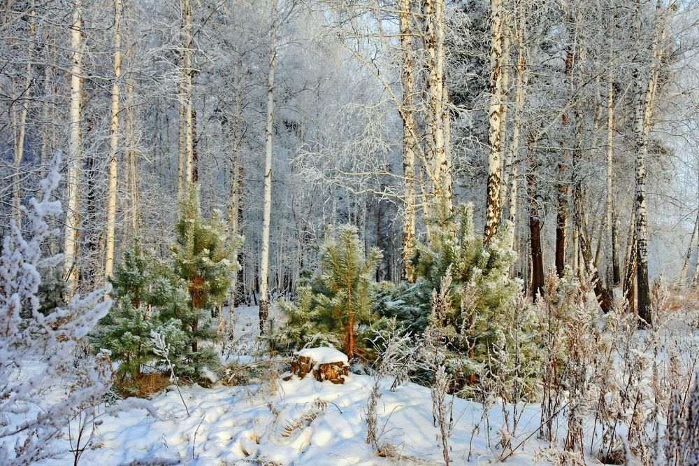 Photograph by Олег Еловиков