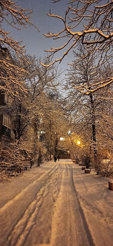 Фотография автора Алёна Подгорная