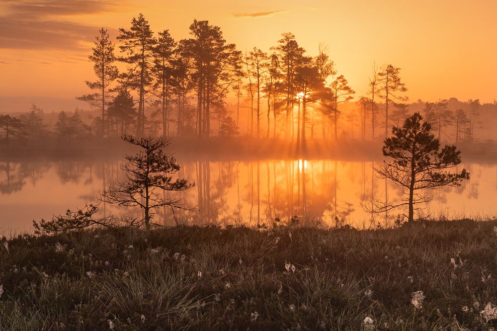 Photograph by Dace Spalviņa