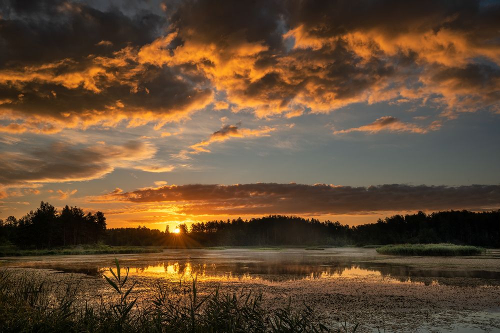 Photograph by Dace Spalviņa