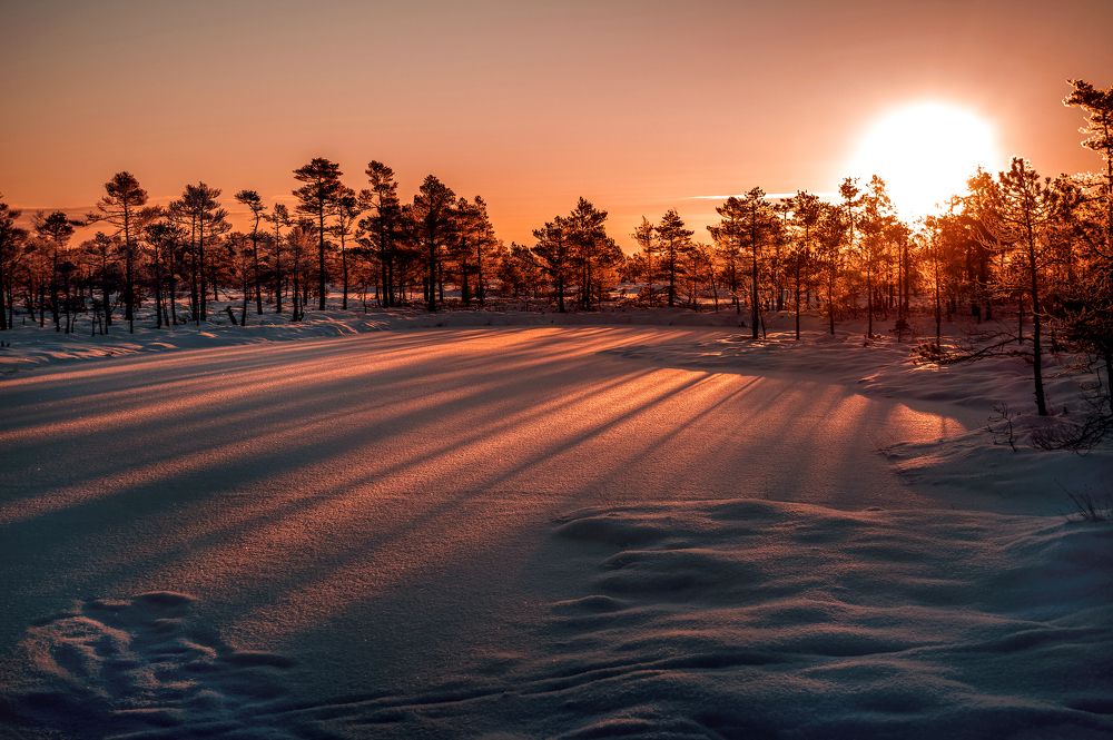 Photograph by Dace Spalviņa