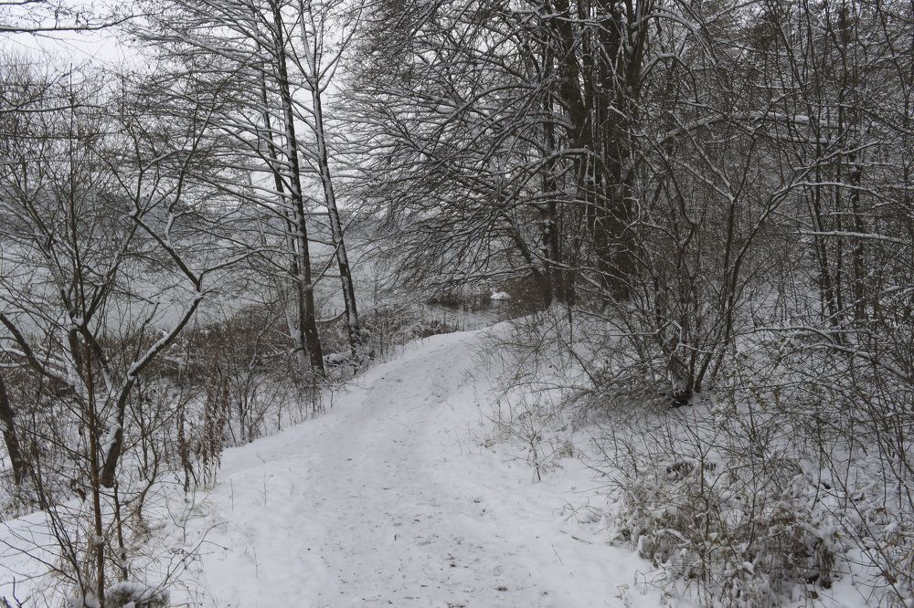 Path along the river