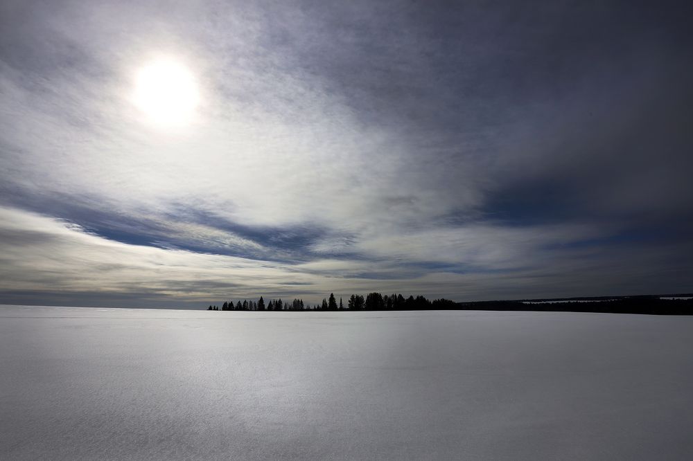 Фотография автора Павел Мартюшев