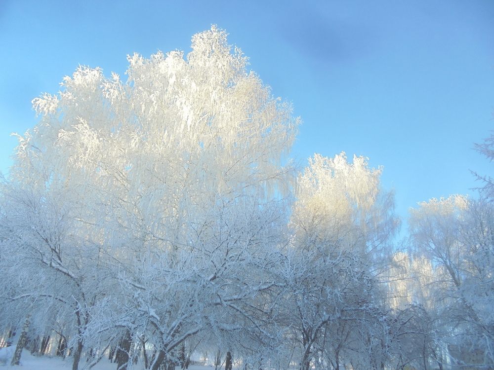 Сине-бело-голубое.