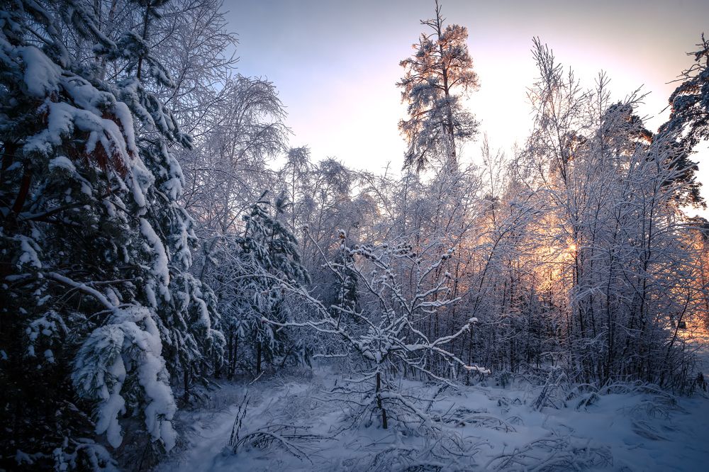 Photograph by Сергей Кочетов