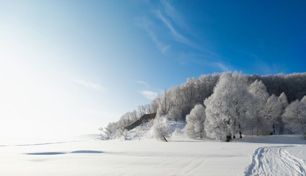 Фотография автора Александр Андреянов