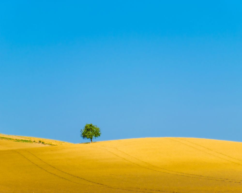 Photograph by Francisco José López Fernández