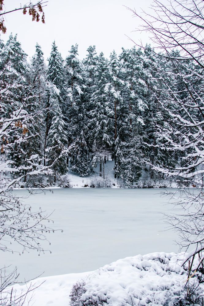 Photograph by Михаил Бородкин