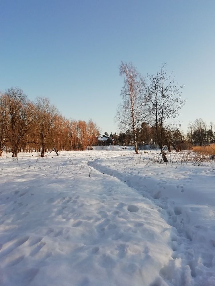 Фотография автора Альбина Хвастунова