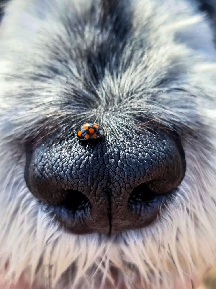 Photograph by Юлия Терентьева