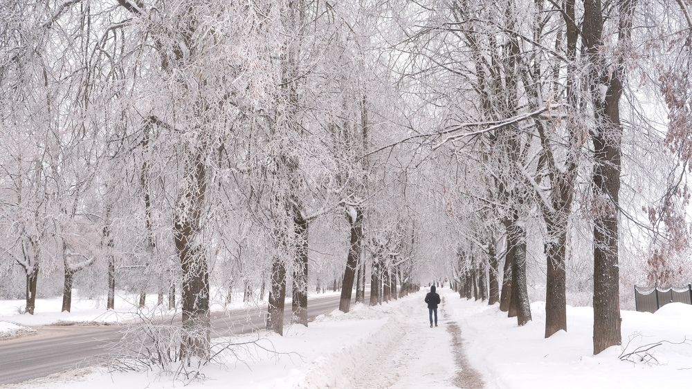 Photograph by Наталия Питолина