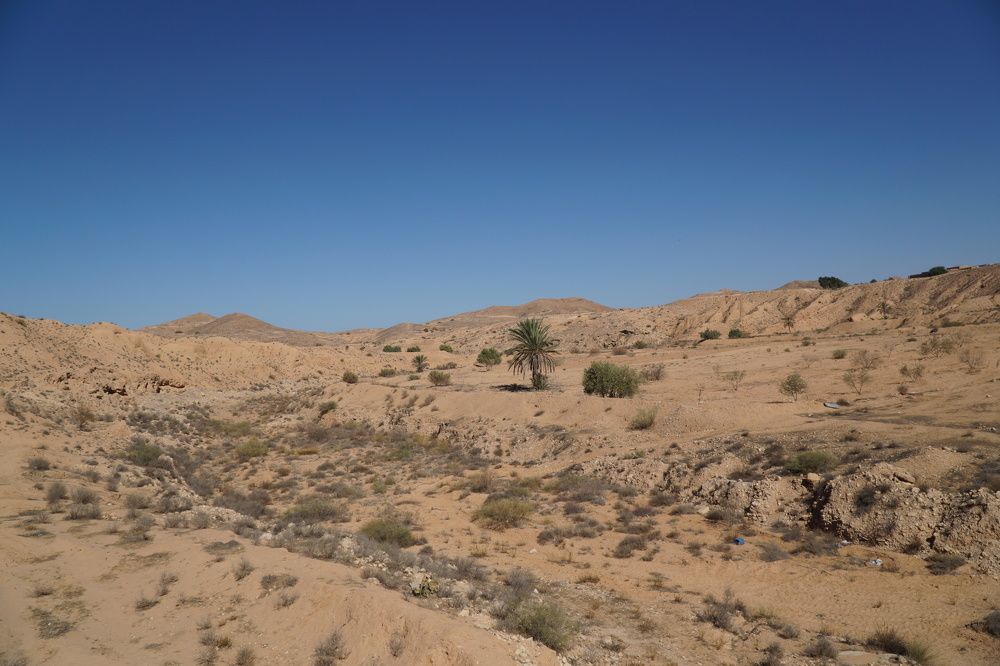 Photograph by Чавдар Георгиев