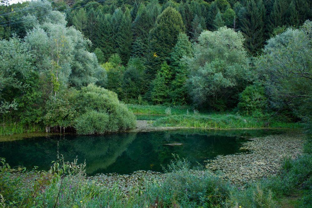 Фотография автора Minja Jovetic