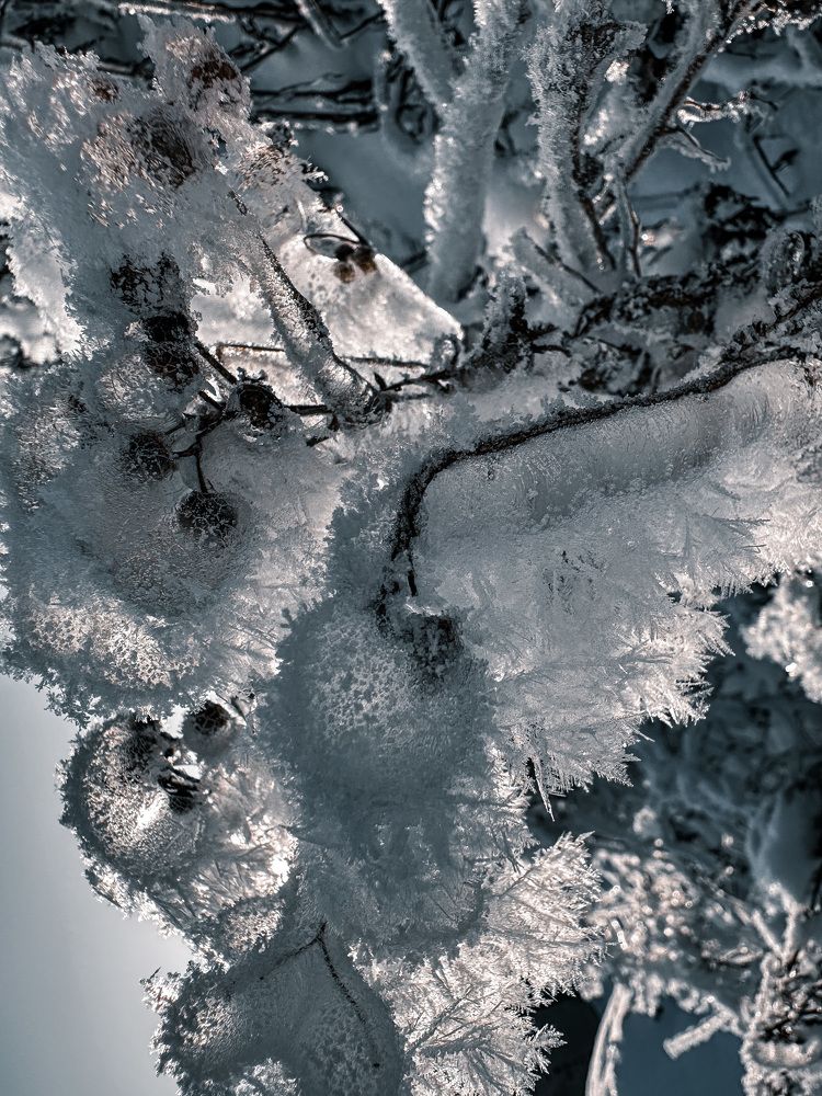 Photograph by Maria Kurakhtanova